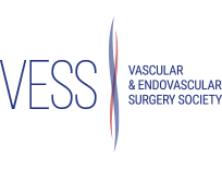 46th Vascular and Endovascular Surgery Society 2022 Meeting Abstract Submission Deadline