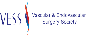 Vascular and Endovascular Surgery Society