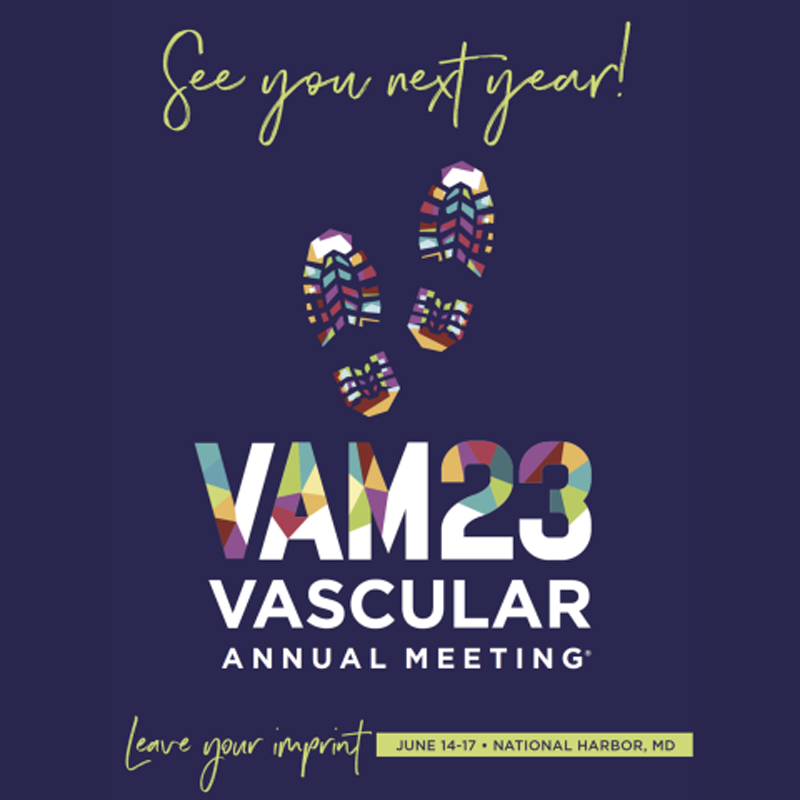 Spring Meeting 2023 Vascular & Endovascular Surgery Society (VESS)